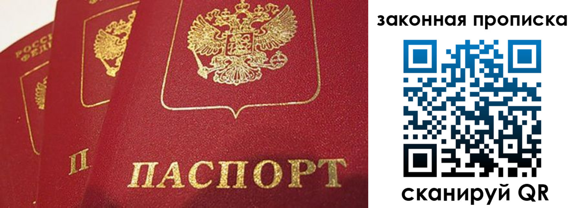 прописка гарантия в Лисках